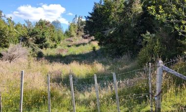 RÍO PALENA - 1HA X 2