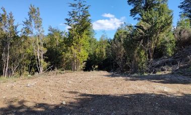 RÍO PALENA - 1HA X 2