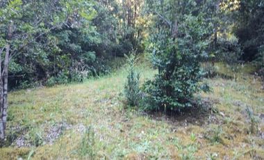 RÍO PALENA - 1HA X 2