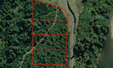 RÍO PALENA - 1HA X 2