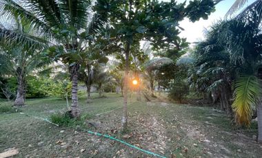 TERRENO EN VENTA EN MÉRIDA YUCATÁN EN TEYA KANASÍN A UN LADO DEL TREN MAYA