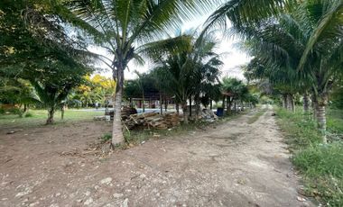 TERRENO EN VENTA EN MÉRIDA YUCATÁN EN TEYA KANASÍN A UN LADO DEL TREN MAYA