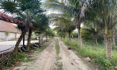 TERRENO EN VENTA EN MÉRIDA YUCATÁN EN TEYA KANASÍN A UN LADO DEL TREN MAYA