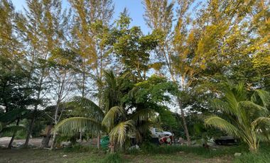 TERRENO EN VENTA EN MÉRIDA YUCATÁN EN TEYA KANASÍN A UN LADO DEL TREN MAYA