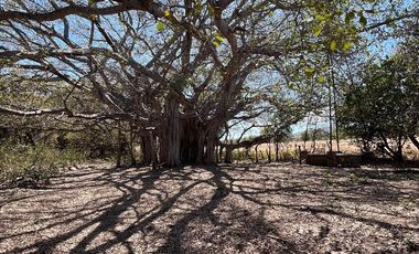 TERRENO DE 6.7 HECTÁREAS A ORILLA DE CARRETERA EN SUCHIAPA