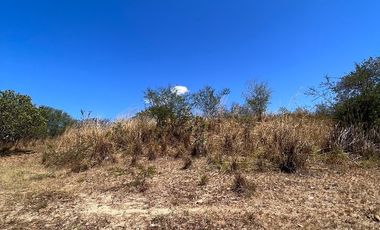 TERRENO DE 6.7 HECTÁREAS A ORILLA DE CARRETERA EN SUCHIAPA