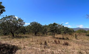 TERRENO DE 6.7 HECTÁREAS A ORILLA DE CARRETERA EN SUCHIAPA