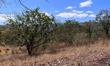 TERRENO DE 6.7 HECTÁREAS A ORILLA DE CARRETERA EN SUCHIAPA