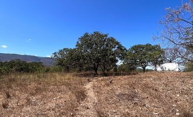 TERRENO DE 6.7 HECTÁREAS A ORILLA DE CARRETERA EN SUCHIAPA