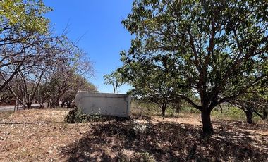 TERRENO DE 6.7 HECTÁREAS A ORILLA DE CARRETERA EN SUCHIAPA