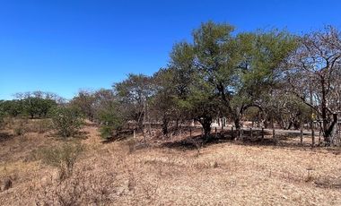 TERRENO DE 6.7 HECTÁREAS A ORILLA DE CARRETERA EN SUCHIAPA