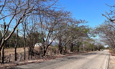 TERRENO DE 6.7 HECTÁREAS A ORILLA DE CARRETERA EN SUCHIAPA