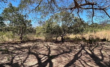 TERRENO DE 6.7 HECTÁREAS A ORILLA DE CARRETERA EN SUCHIAPA