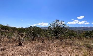 TERRENO DE 6.7 HECTÁREAS A ORILLA DE CARRETERA EN SUCHIAPA