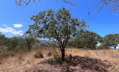 TERRENO DE 6.7 HECTÁREAS A ORILLA DE CARRETERA EN SUCHIAPA