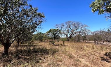 TERRENO DE 6.7 HECTÁREAS A ORILLA DE CARRETERA EN SUCHIAPA