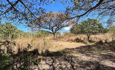 TERRENO DE 6.7 HECTÁREAS A ORILLA DE CARRETERA EN SUCHIAPA