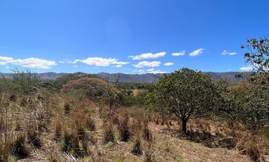 TERRENO DE 6.7 HECTÁREAS A ORILLA DE CARRETERA EN SUCHIAPA