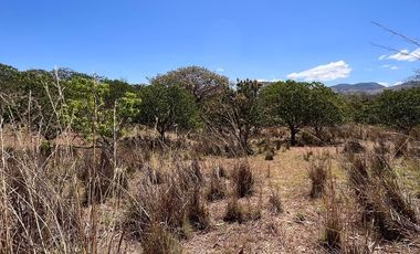 TERRENO DE 6.7 HECTÁREAS A ORILLA DE CARRETERA EN SUCHIAPA