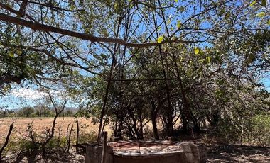 TERRENO DE 6.7 HECTÁREAS A ORILLA DE CARRETERA EN SUCHIAPA