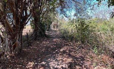 TERRENO DE 6.7 HECTÁREAS A ORILLA DE CARRETERA EN SUCHIAPA