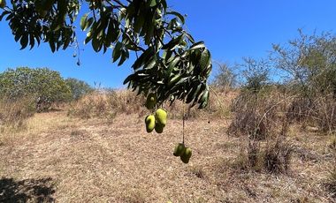 TERRENO DE 6.7 HECTÁREAS A ORILLA DE CARRETERA EN SUCHIAPA