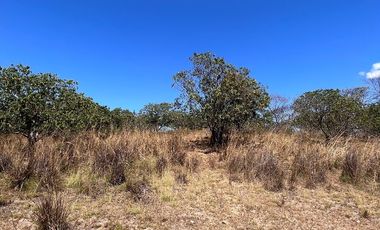 TERRENO DE 6.7 HECTÁREAS A ORILLA DE CARRETERA EN SUCHIAPA