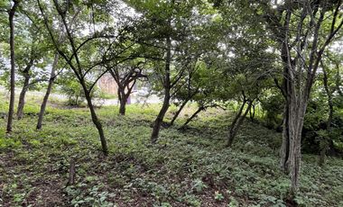 TERRENO EN VENTA EN MACTUMATZA