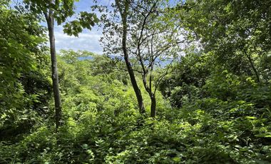 TERRENO EN VENTA EN MACTUMATZA