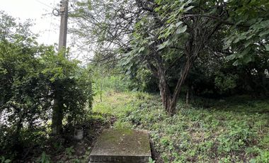 TERRENO EN VENTA EN MACTUMATZA