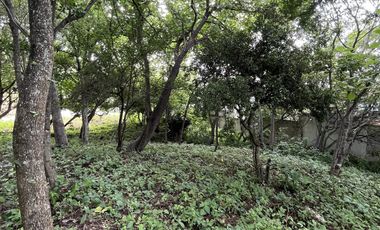 TERRENO EN VENTA EN MACTUMATZA