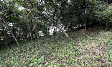 TERRENO EN VENTA EN MACTUMATZA