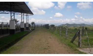 Venta de excelentes terrenos en el mejor lugar de Combia 214 cuadras