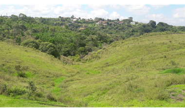 Venta de excelentes terrenos en el mejor lugar de Combia 214 cuadras