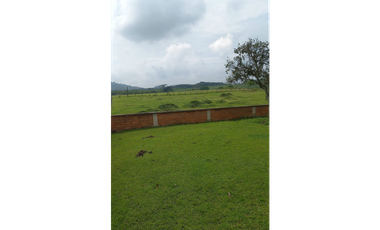 Venta de excelentes terrenos en el mejor lugar de Combia 214 cuadras