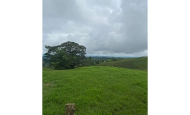 Venta de excelentes terrenos en el mejor lugar de Combia 214 cuadras