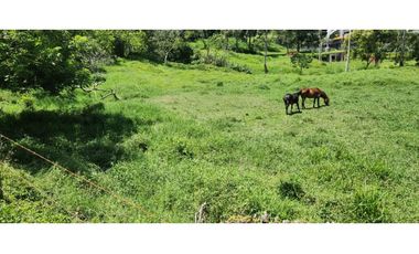 Lote Industrial en Amaga Antioquia