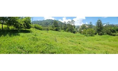 Lote Industrial en Amaga Antioquia