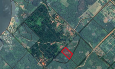 Oportunidad de inversion