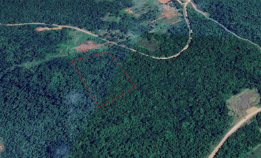 Oportunidad de inversion