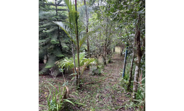 CERRO AZUL / FORTIN / 2627M / 3 NIVELES / 3 HAB / VACIA / 5 PARKING