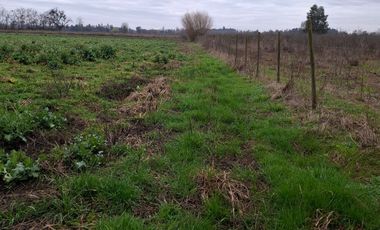 HERMOSA PARCELA 2 ha  ESTACION DE VILLA ALEGRE
