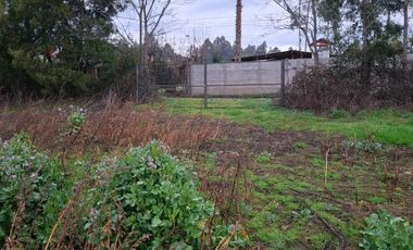 HERMOSA PARCELA 2 ha  ESTACION DE VILLA ALEGRE