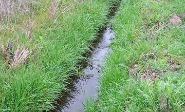 HERMOSA PARCELA 2 ha  ESTACION DE VILLA ALEGRE