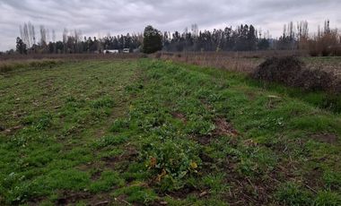 HERMOSA PARCELA 2 ha  ESTACION DE VILLA ALEGRE
