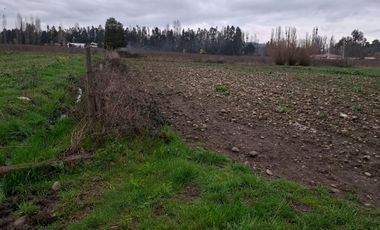 HERMOSA PARCELA 2 ha  ESTACION DE VILLA ALEGRE