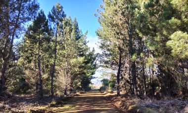 Parcelas en Parral Precodillera a 5 min de Todo