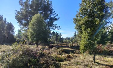 Parcelas en Parral Precodillera a 5 min de Todo