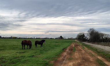 Parcelas en Parral con acceso controlado