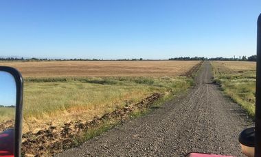 Parcelas en Parral con acceso controlado